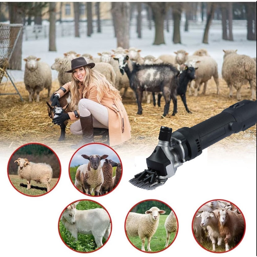 Aparat electric profesional pentru tuns oile, 850 W